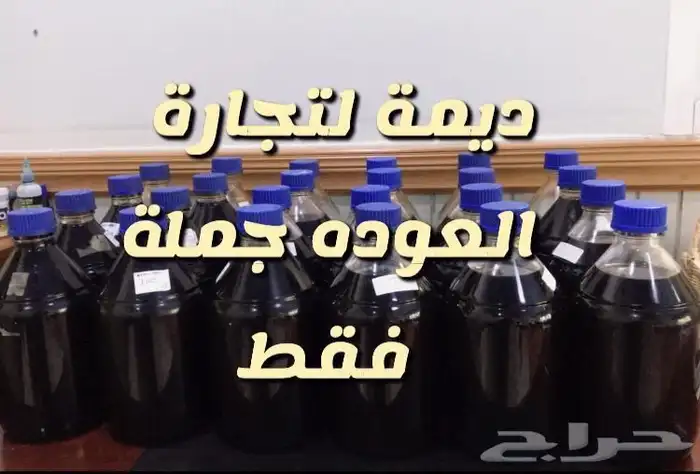 دقة مروكي اصقون جملة 4700 ريال الكيلو 1