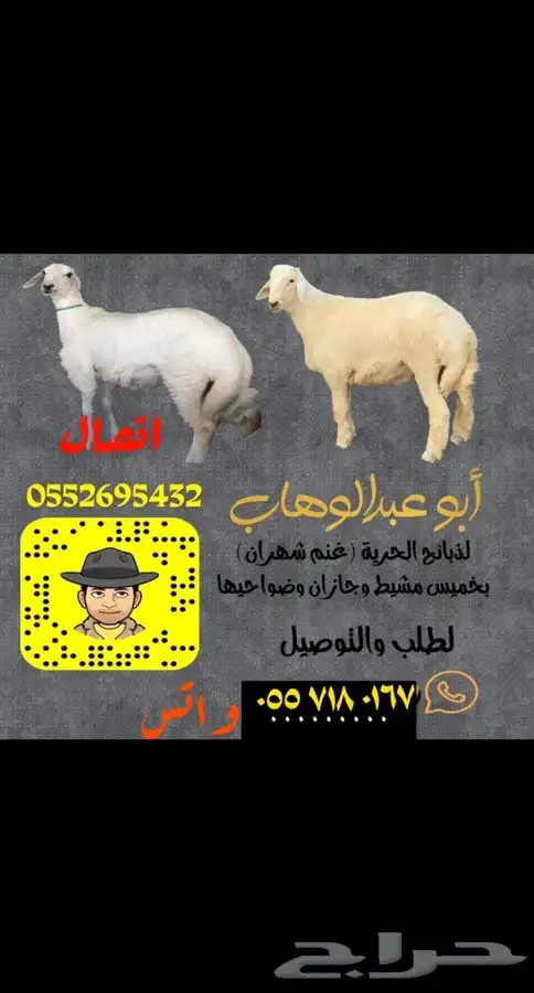ذبايح بهم خرفان ورخال حريه من غنم شهران مع السلخ والتوصيل 7