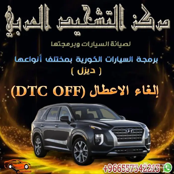 كيا هيونداي ديزل برمجة انظمة البيئة DPF-EGR 3