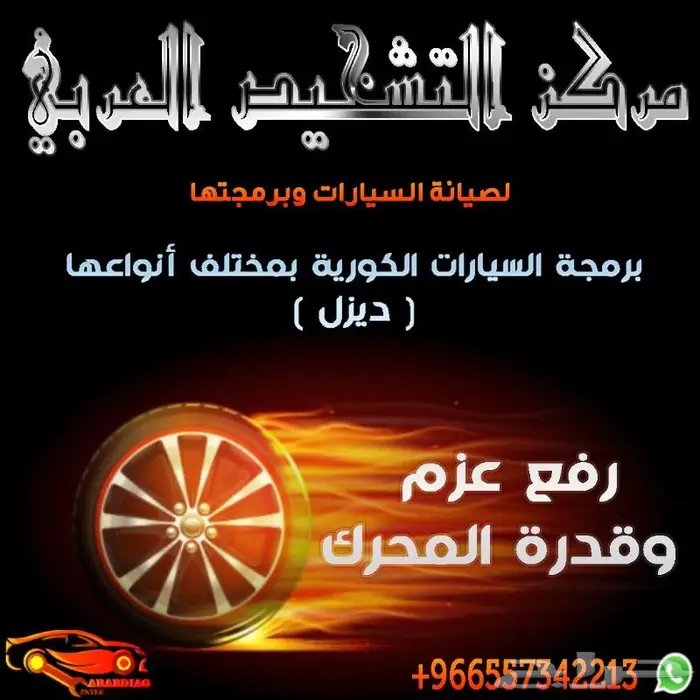 كيا هيونداي ديزل برمجة انظمة البيئة DPF-EGR 4