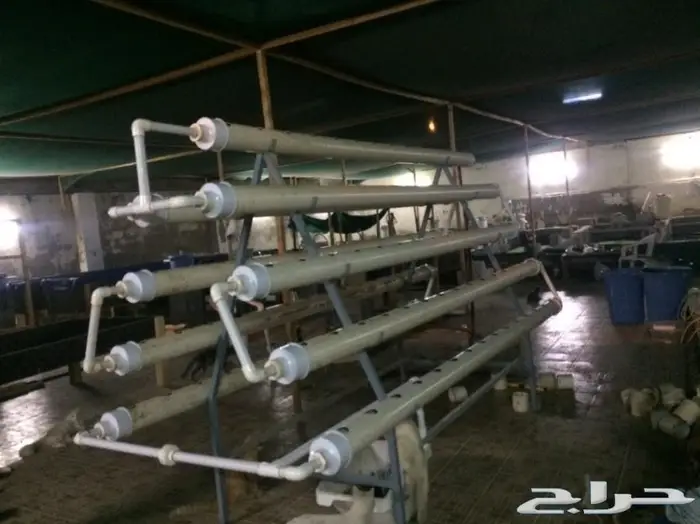 انظمة زراعة مائية حسب الطلب 6