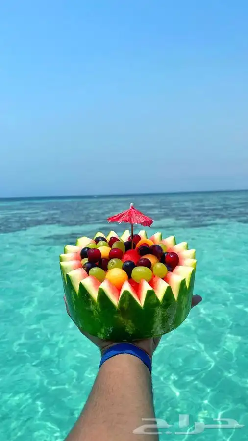 رحلات جزيرة بياضة 23