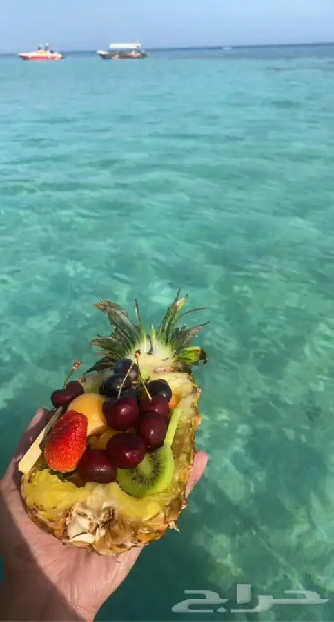 رحلات سباحه بياضه مالديف جدة 1000 1