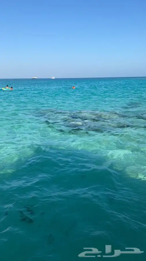 رحلات سباحه بياضه مالديف جدة 1000 7