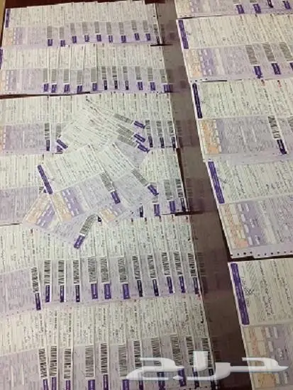 زيت زيتون فلسطيني مبارك لكل مدن وقرى المملكة  53