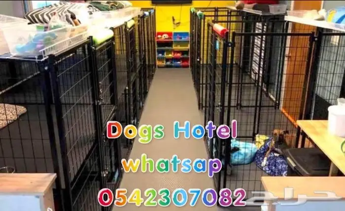 فندقة كلاب - Dogs hotel - ايواء كلاب 7