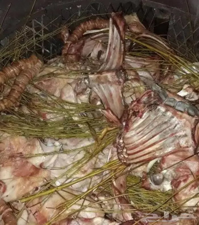 طباخ حنيذ على اصوله شغل بيت 7