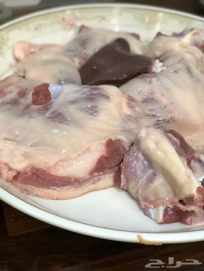 نص تيس ( لحم ني) 10