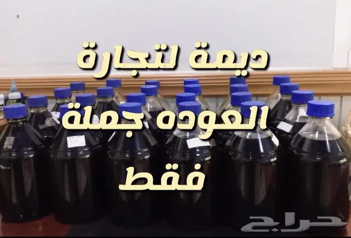دقة مروكي طبيعي جملة 2200 الكيلو 4