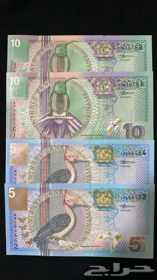 عملات قديمة سورنام 0