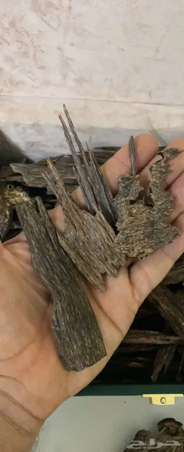 عود طبيعي  هندي   كلمنتان   هندي موري  12