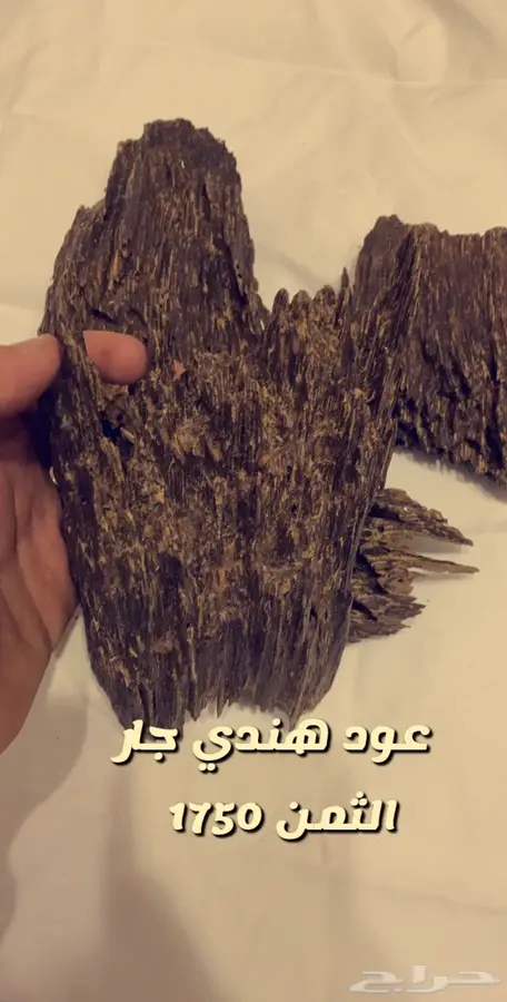 عود طبيعي  هندي   كلمنتان   هندي موري  13