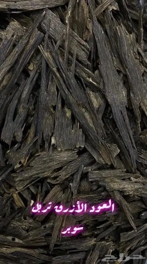 عود طبيعي  هندي   كلمنتان   هندي موري  8