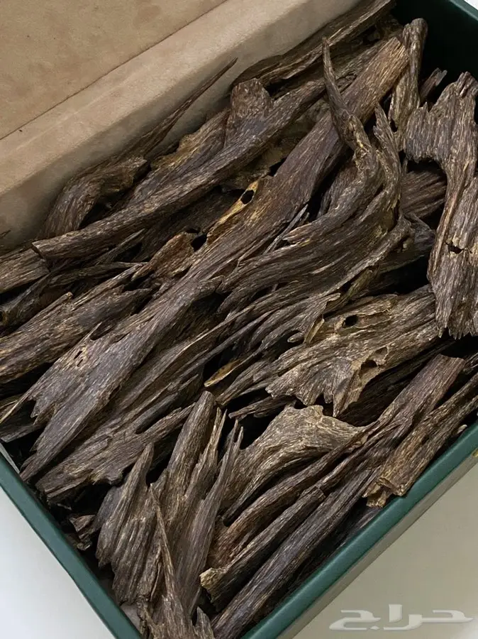 عود طبيعي  هندي   كلمنتان   هندي موري  6