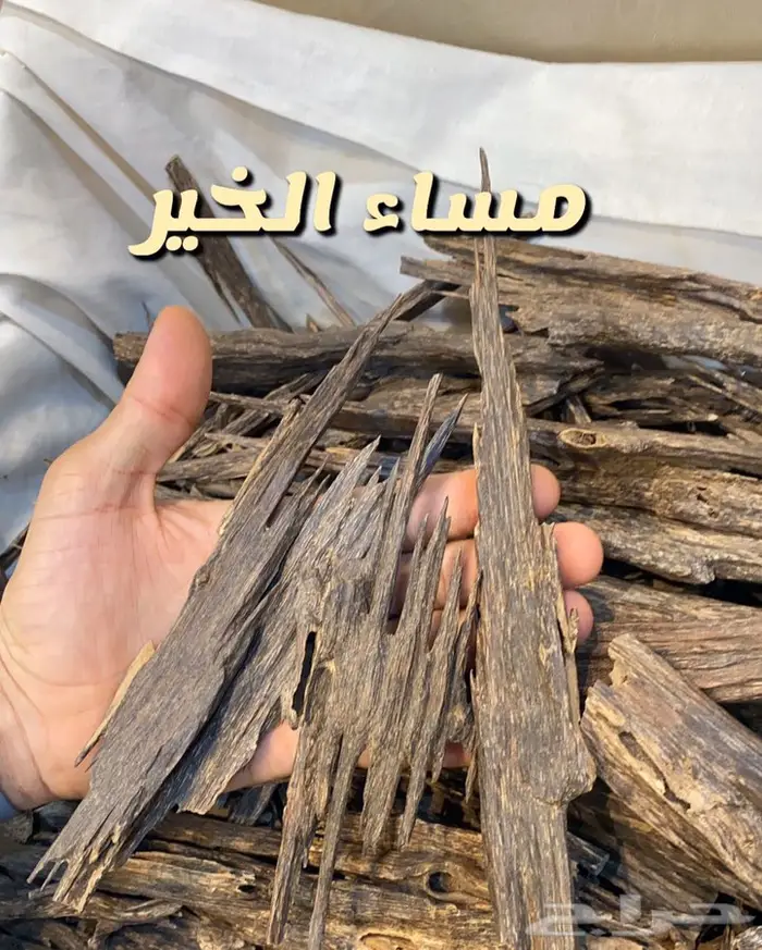 عود طبيعي  هندي   كلمنتان   هندي موري  7