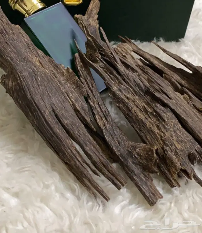 عود طبيعي  هندي   كلمنتان   هندي موري  1