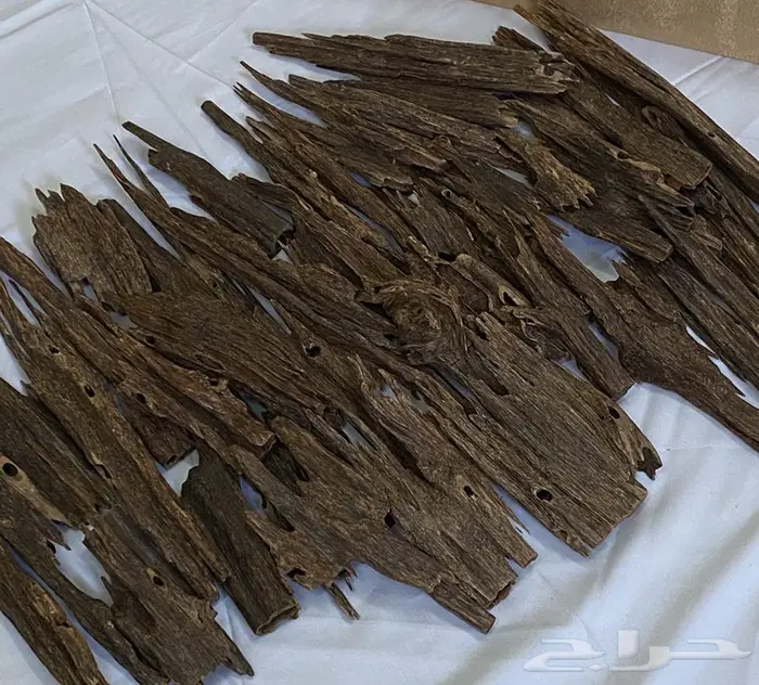 عود طبيعي  هندي   كلمنتان   هندي موري  5