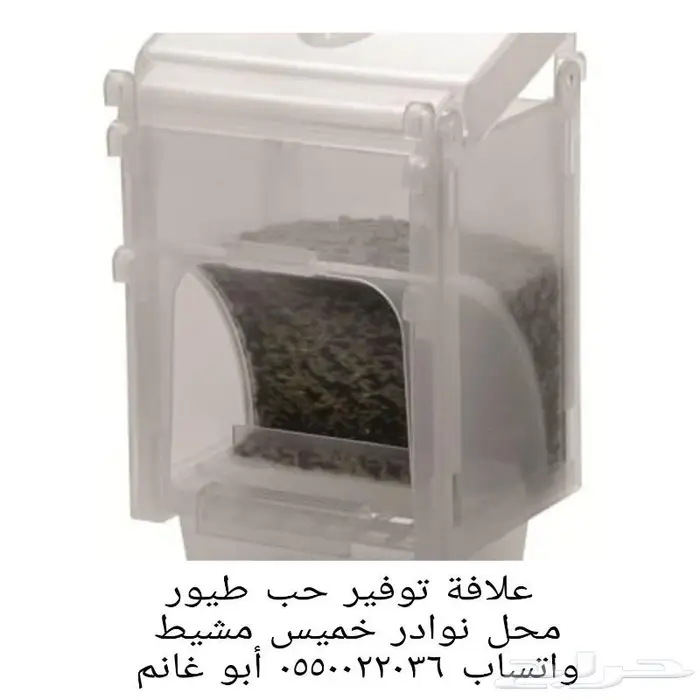 طيور كناري بادجي زيبرا فشر روز كروان 17