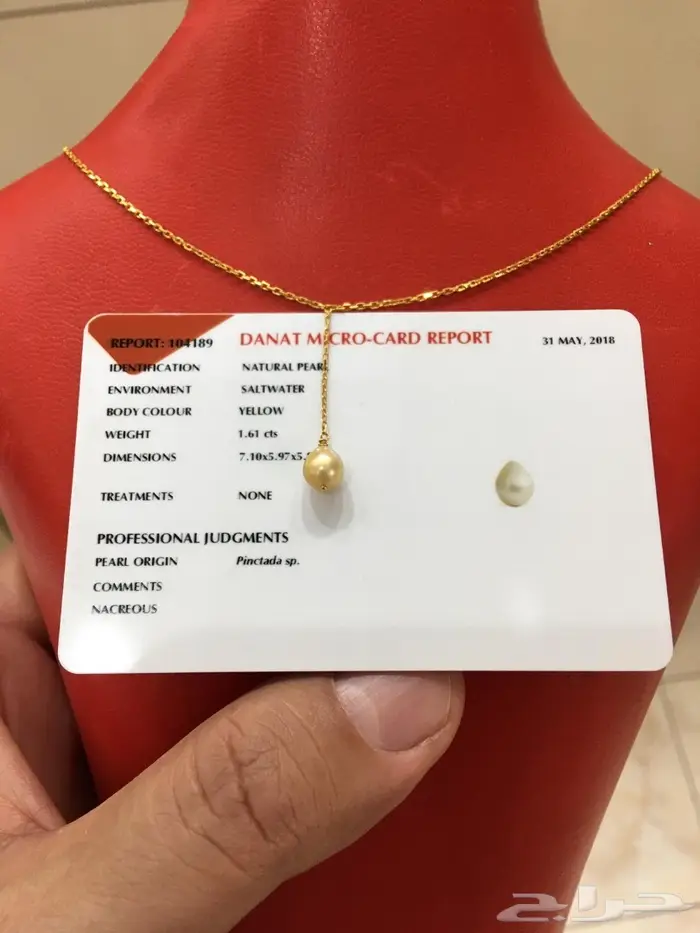 لؤلؤة بحرينية سلسال ذهب 4