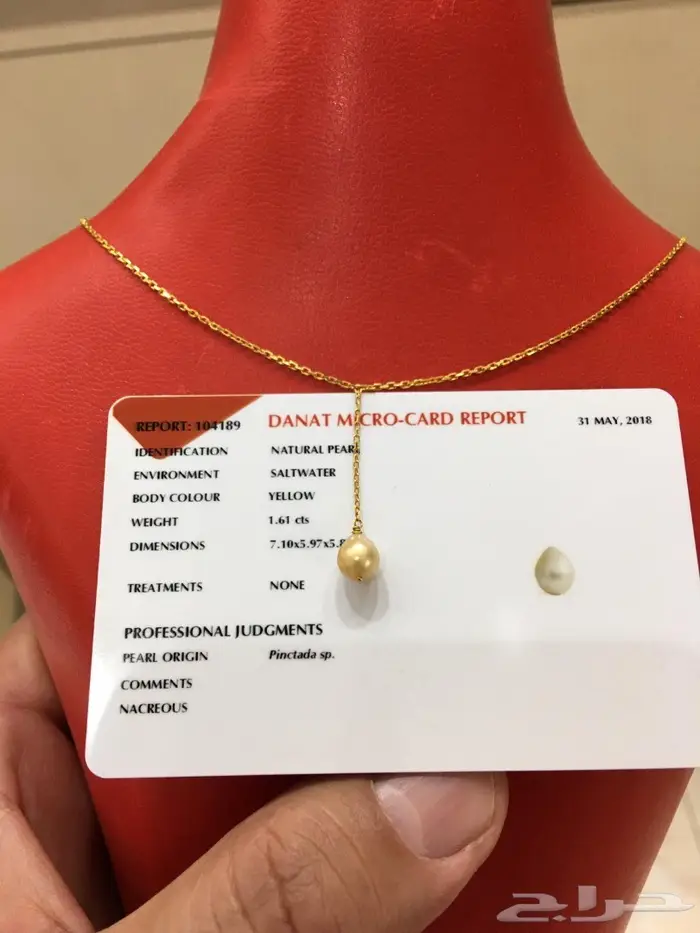لؤلؤة بحرينية سلسال ذهب 5