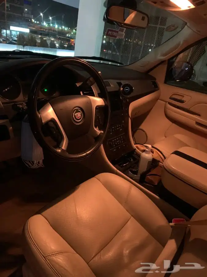 توصيل و نقل القطط و الطيور و الحيوانات 15