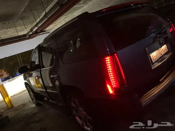 توصيل و نقل القطط و الطيور و الحيوانات 16