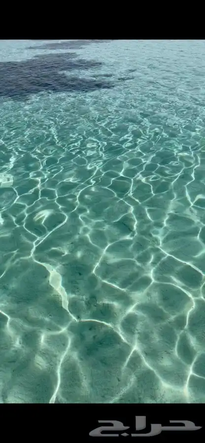رحلات بحريه الرايس 1
