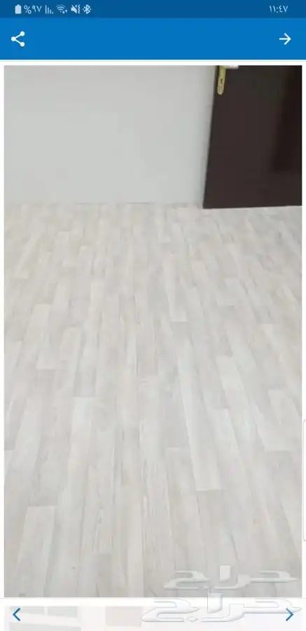 باركية فينيل بلجيكي 0