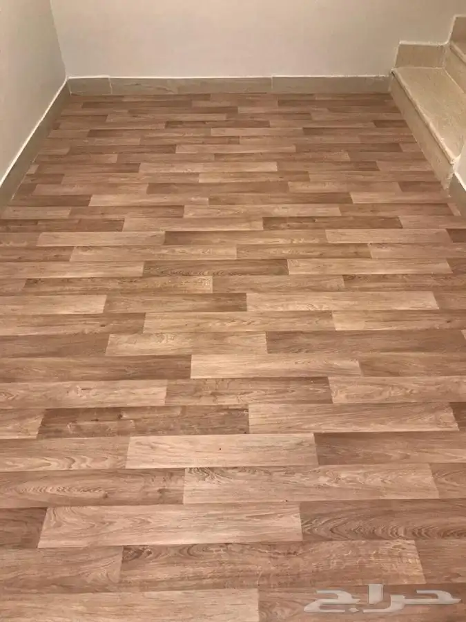 باركية فينيل بلجيكي 13