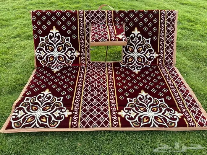 كرسي رحلات ارضي 19