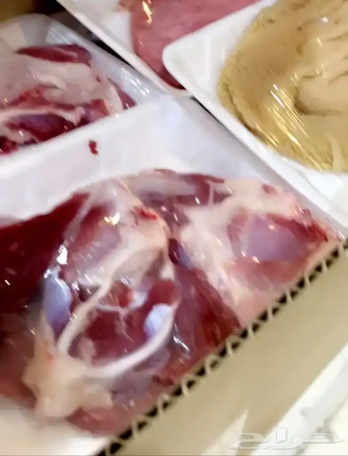 ذبائح بريه شرط ونظيفه و اي عيب لاتدفع ولاريال 1