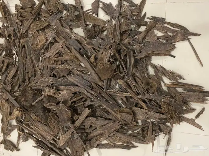 مروكي اصقون سوبر جملة 4600 للكيلو 2