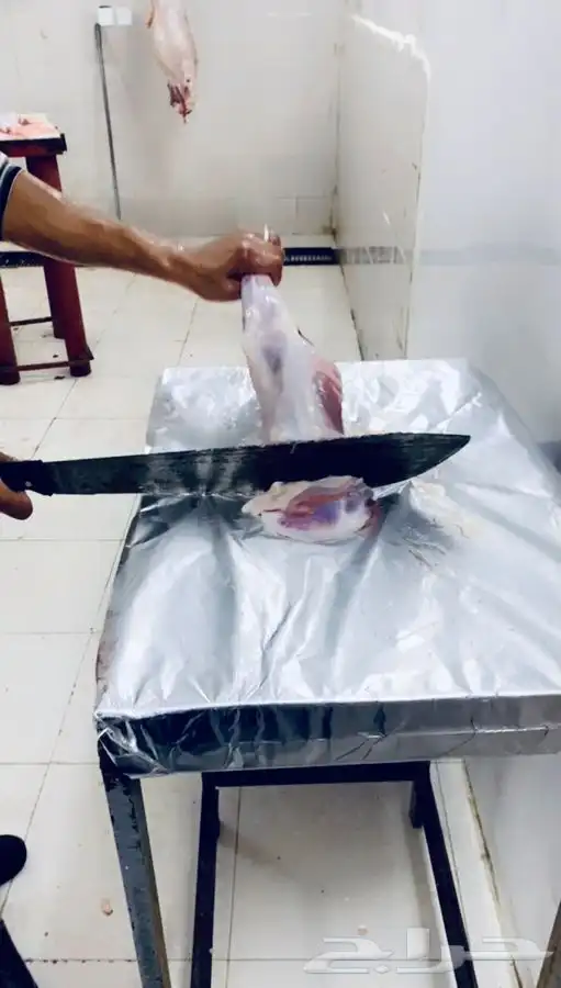 الطائف ذبايح بريه نظيفه واذا ما اعجبتك لاتحاسب  ذبائح 3