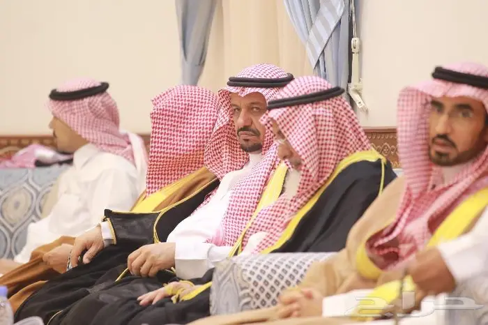 عروض التصوير عام 2022 2