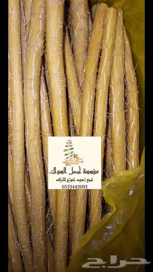 مسواك ابو حنش الحار يصلك اينما كنت 1