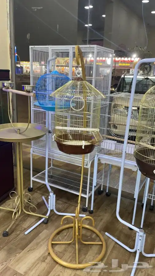 العامريه لطيور واسماك الزينه 2