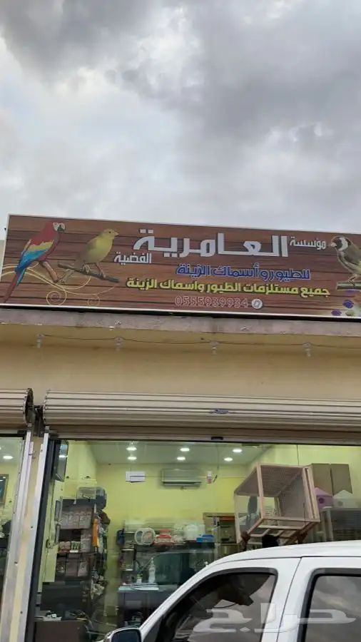 العامريه لطيور واسماك الزينه 35