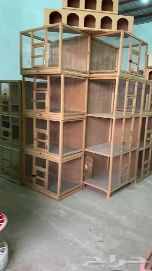 العامريه لطيور واسماك الزينه 13