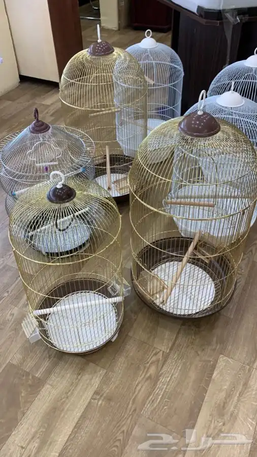 العامريه لطيور واسماك الزينه 25