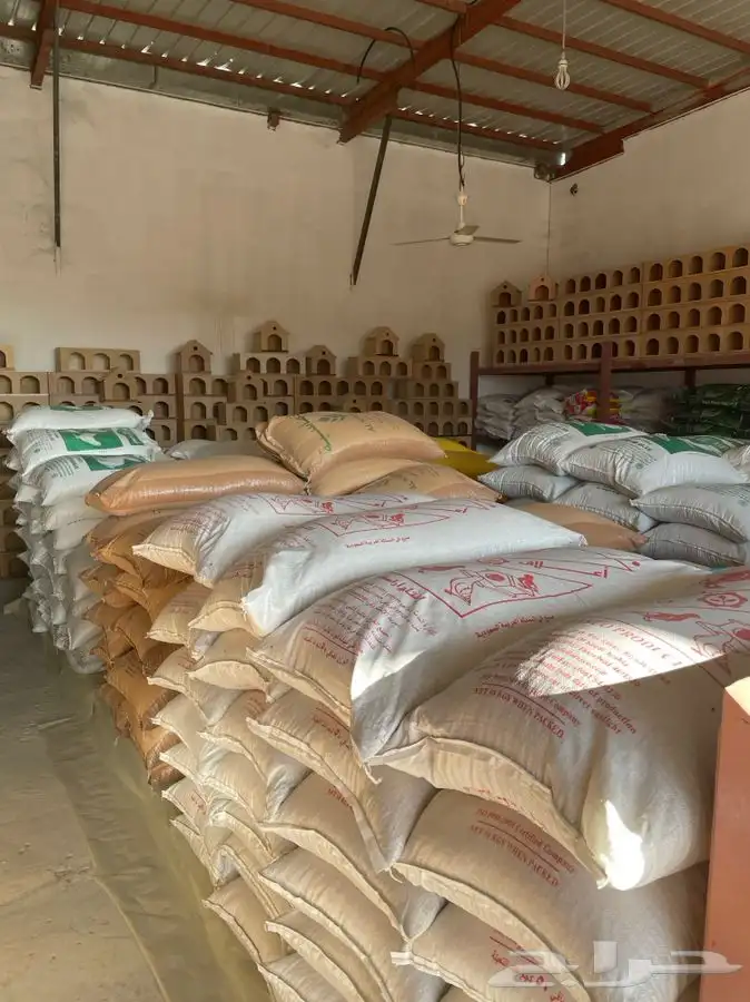 العامريه لطيور واسماك الزينه 32