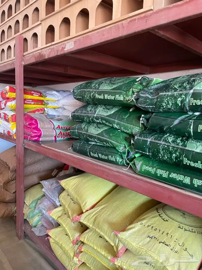 العامريه لطيور واسماك الزينه 29