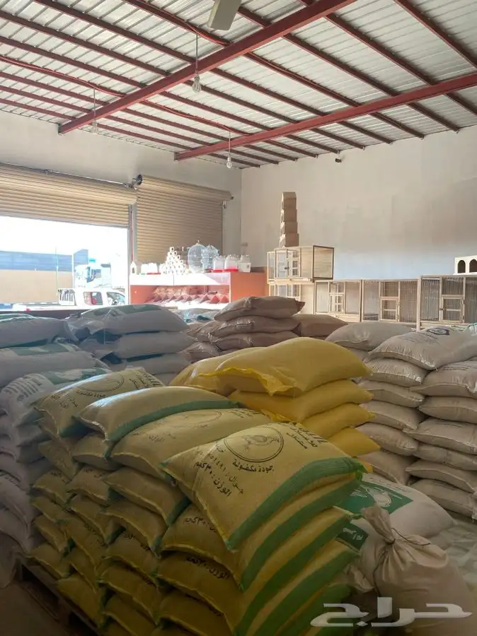 العامريه لطيور واسماك الزينه 28