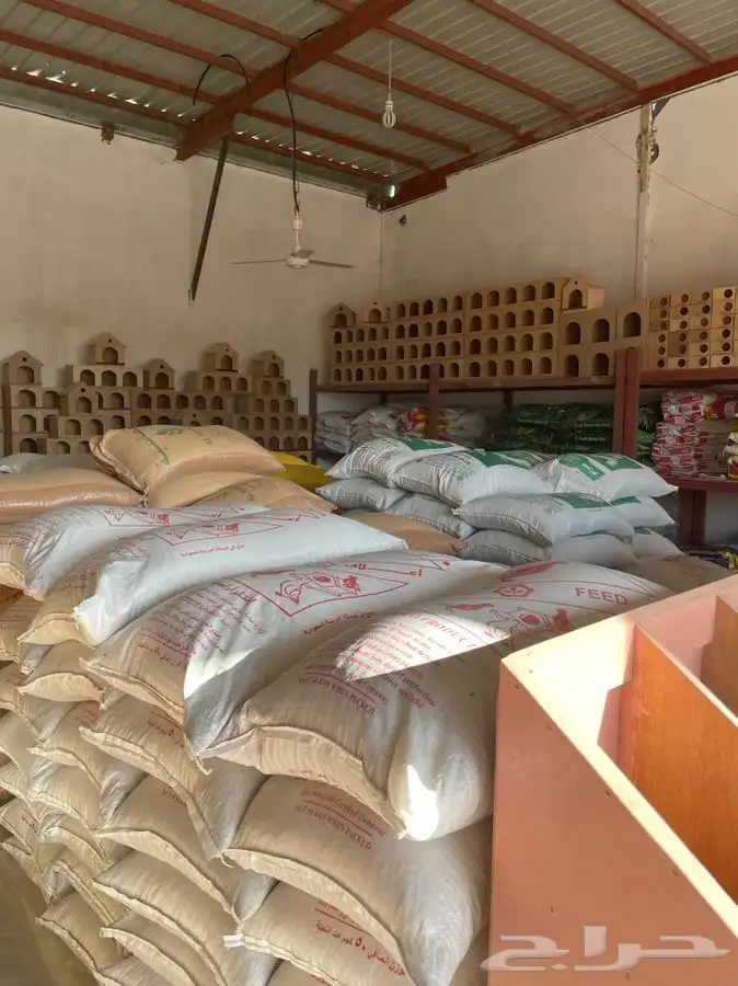 العامريه لطيور واسماك الزينه 31