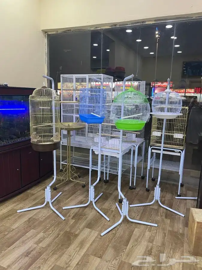 العامريه لطيور واسماك الزينه 9