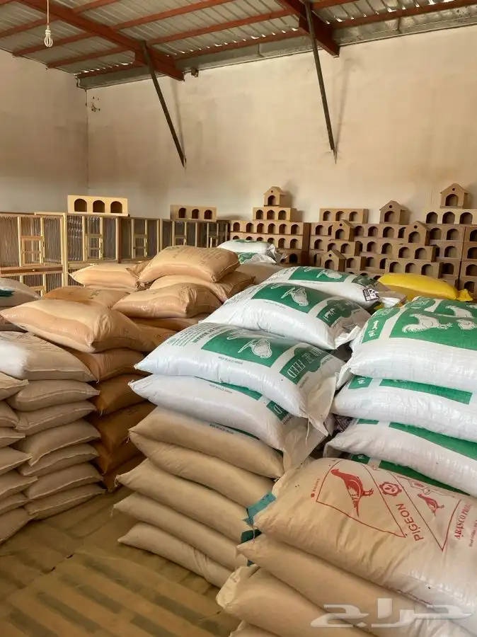 العامريه لطيور واسماك الزينه 36