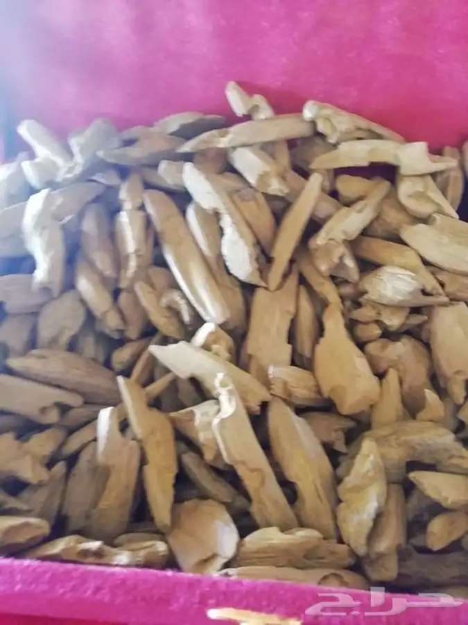 عود كلمنتان ..عود مروكي ..عودة ..طيب 0