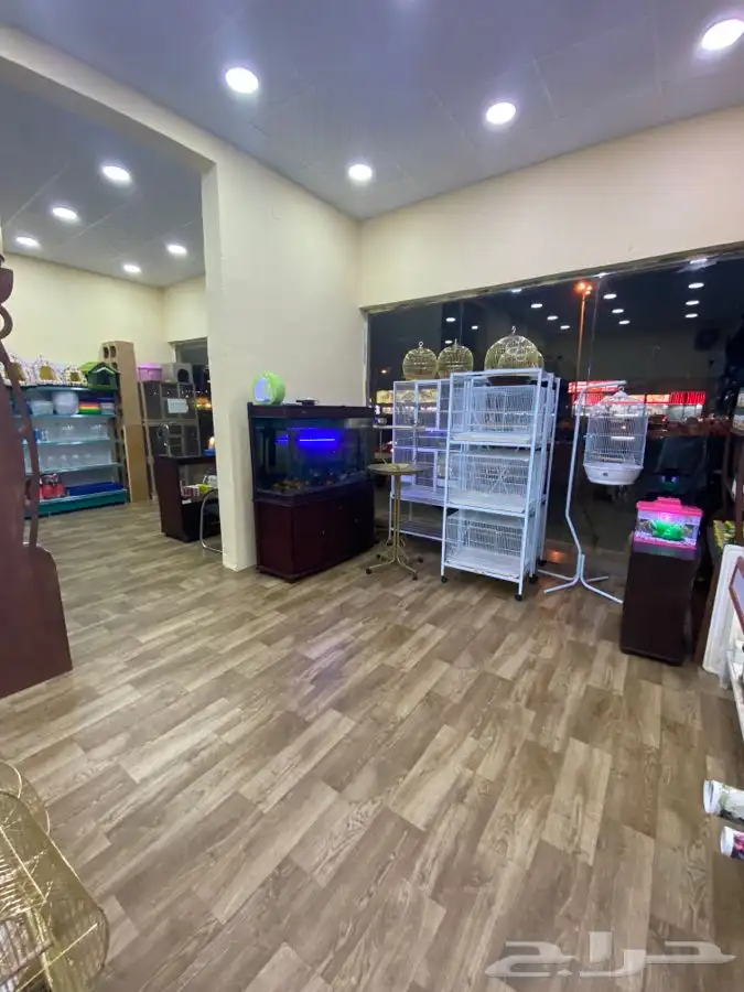 العامريه لطيور واسماك الزينه 51