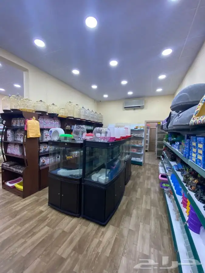 العامريه لطيور واسماك الزينه 44