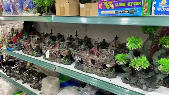 العامريه لطيور واسماك الزينه 27