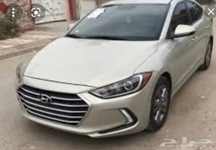 النترا ديزل مكتب استيراد من كوريا 0